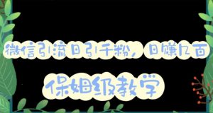 微信互推圈半自动引流方案,矩阵操作日引千人思路【详细视频教程】-铭创资源库