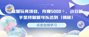 益智玩具项目,月赚5000+,小白新手坚持做就可以达到【揭秘】-铭创资源库