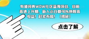 有道词典WOW社区蓝海项目,目前高速上升期,新人小白都可以换取高收益!赶紧布局!【揭秘】-铭创资源库