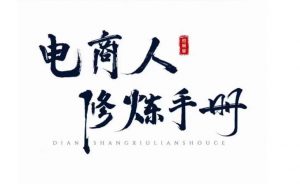 照顾酱·电商人修炼手册,从0到1,手把手教你理解淘宝运营底层逻辑-铭创资源库