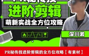 PR进阶剪辑培训班,让你快速成为剪辑大师12节视频课程+素材!-铭创资源库