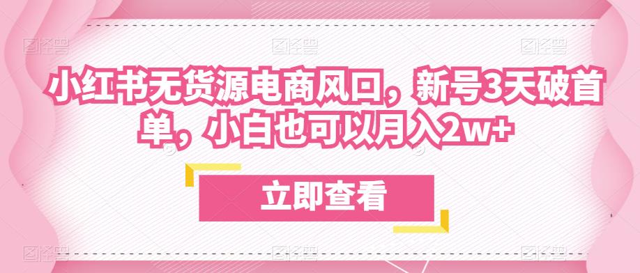 众狼电商余文小红书无货源电商风口，新号3天破首单，小白也可以月入2w+-铭创资源库
