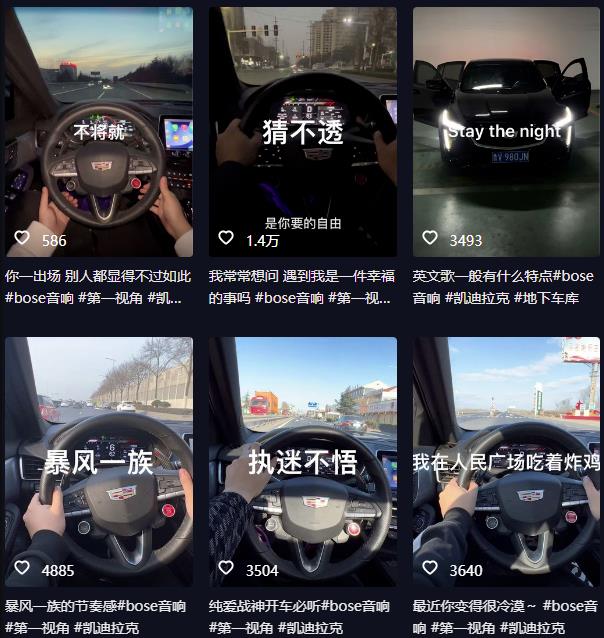 抖音开车视频项目，0基础操作，每天五分钟，月入1W+【揭秘】-铭创资源库