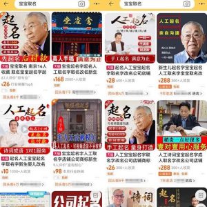 拆解小红书宝宝起名虚拟副业项目,一条龙实操玩法分享给你(教程+软件)-铭创资源库
