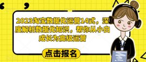 2023淘宝数据化运营14式,深度解析数据化知识,帮你从小白成长为高级运营-铭创资源库