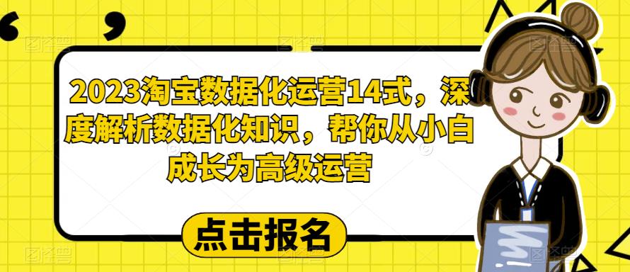 2023淘宝数据化运营14式，深度解析数据化知识，帮你从小白成长为高级运营-铭创资源库