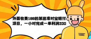 外面收费188的美团准时宝赔付项目，一小时完成一单利润200【仅揭秘】-铭创资源库