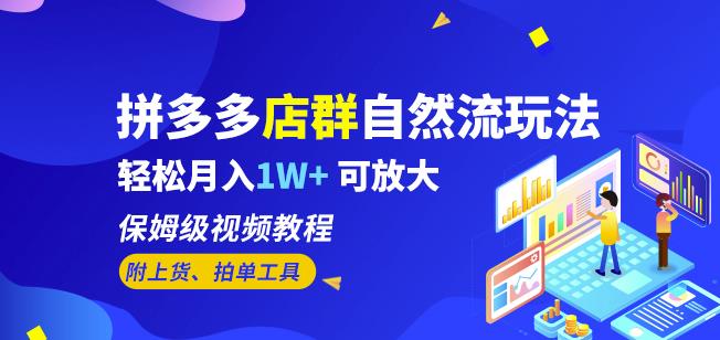 拼多多店群自然流玩法，轻松月入1W+保姆级视频教程（附上货、拍单工具）-铭创资源库