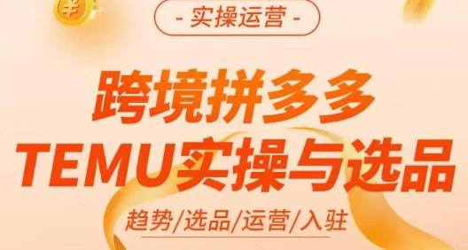 伍跃·跨境拼多多TEMU实操与选品，​趋势/选品/运营/入住（27节完整）-铭创资源库