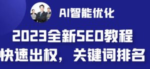 2023最新网站AI智能优化SEO教程,简单快速出权重,AI自动写文章+AI绘画配图-铭创资源库