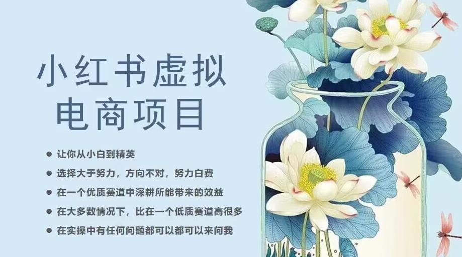 小红书虚拟电商从0到1，让你从小白到精英（20节实操课程）-铭创资源库