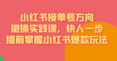 接单号方向·小红书微操实践课，快人一步，提前掌握小红书爆款玩法-铭创资源库