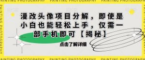 漫改头像项目分解，即使是小白也能轻松上手，仅需一部手机即可【揭秘】-铭创资源库