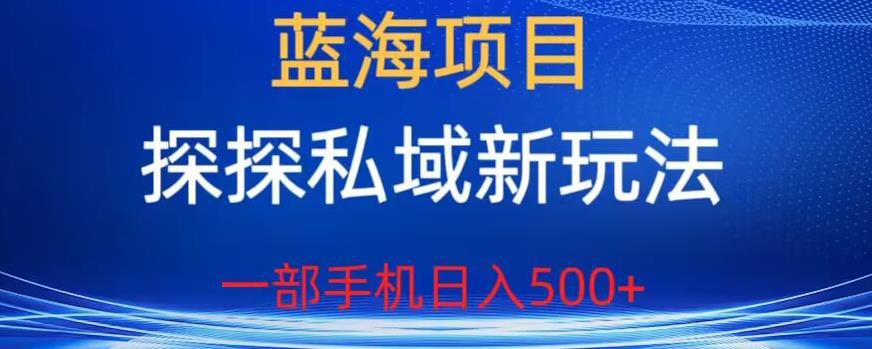 蓝海项目，探探私域新玩法，一部手机日入500+很轻松【揭秘】-铭创资源库