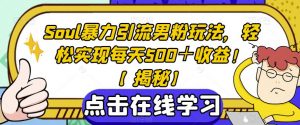 Soul暴力引流男粉玩法，轻松实现每天500＋收益！【揭秘】-铭创资源库