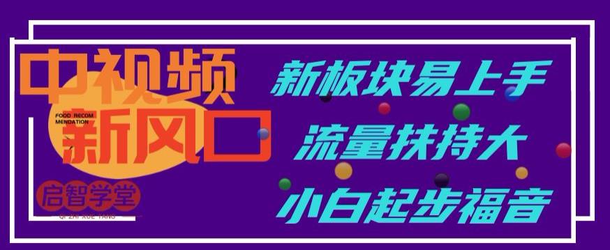 中视频新风口，新板块易上手，流量扶持大，小白起步福音【揭秘】-铭创资源库