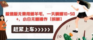 极速版无费用薅羊毛，一天躺赚10-50+，小白无脑操作【拆解】-铭创资源库