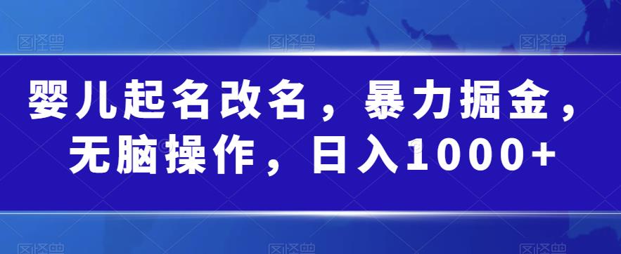 婴儿起名改名，暴力掘金，无脑操作，日入1000+【揭秘】-铭创资源库