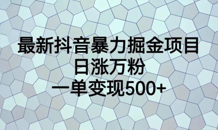 最新抖音暴力掘金项目，日涨万粉，一单变现500+【揭秘】-铭创资源库
