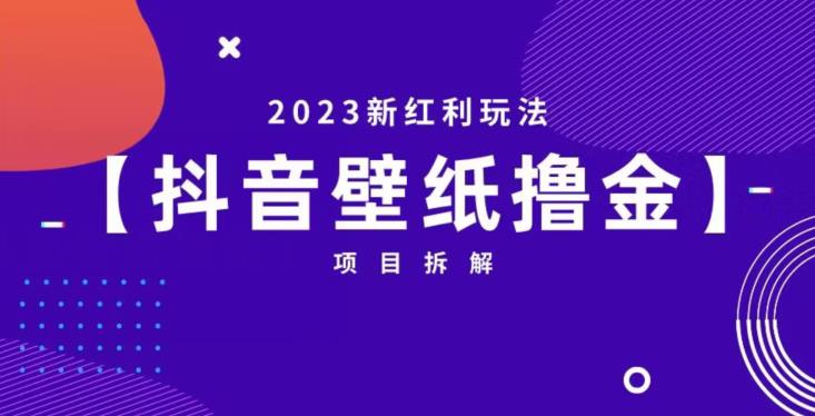 抖音壁纸小程序创作者撸金项目，2023新红利玩法【项目拆解】-铭创资源库