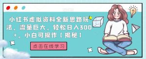 小红书虚拟资料全新思路玩法，流量巨大，轻松日入300+，小白可操作【揭秘】-铭创资源库