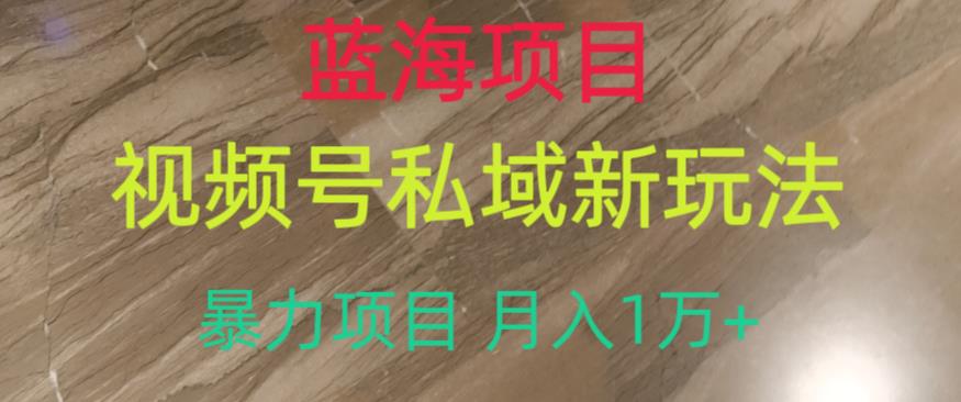 蓝海项目，视频号私域新玩法，暴力项目月入1万+【揭秘】-铭创资源库