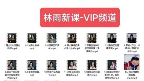 林雨新课VIP频道，玩赚私域/朋友圈/社群-铭创资源库