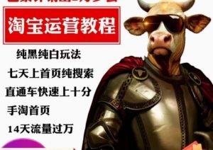 猫老师·淘系算法逆向解密，​纯黑纯白玩法，七天上首页纯搜索，手淘首页14天流量过万-铭创资源库