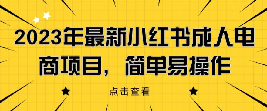 2023年最新小红书成人电商项目，简单易操作【详细教程】【揭秘】-铭创资源库