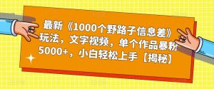 最新《1000个野路子信息差》玩法,文字视频,单个作品暴粉5000+,小白轻松上手【揭秘】-铭创资源库