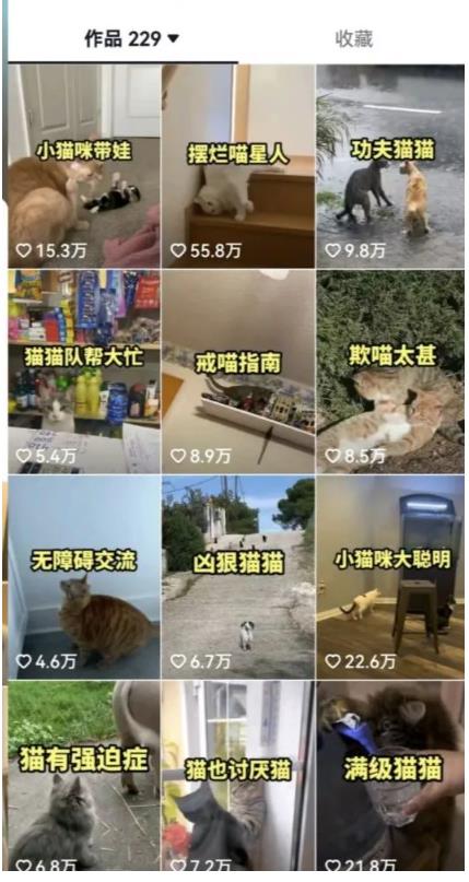 拆解：抖音盘点类中视频变现副业项目，视频版一条龙大解析分享给你-铭创资源库