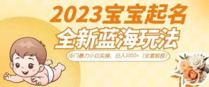 2023宝宝起名全新蓝海玩法,冷门暴力小白实操,日入1000+(全套教程)【揭秘】-铭创资源库