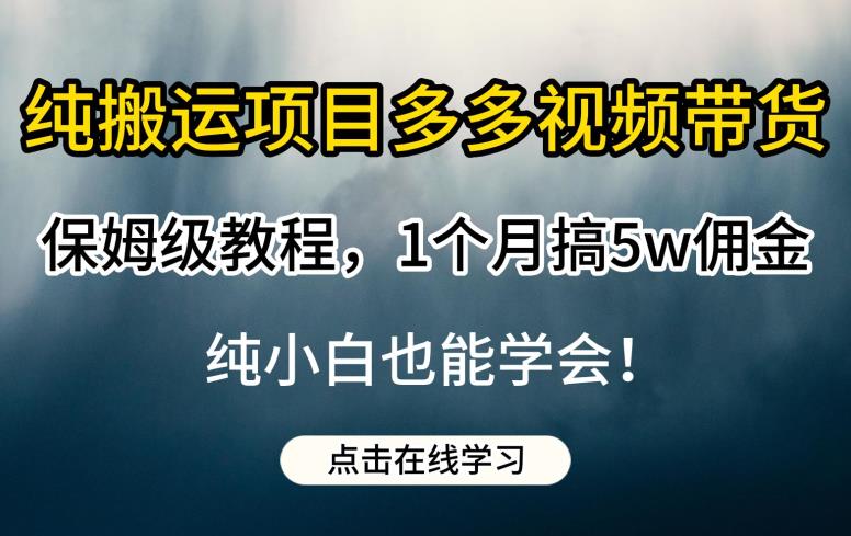 纯搬运项目多多视频带货保姆级教程，1个月搞5w佣金，纯小白也能学会【揭秘】-铭创资源库