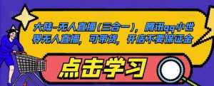 大陆-无人直播(三合一),腾讯qq小世界无人直播,可带货,开店不要保证金-铭创资源库