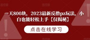 一天800块，2023最新反撸pz玩法，小白也能轻松上手【仅揭秘】-铭创资源库