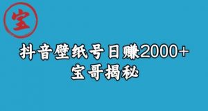 宝哥抖音壁纸号日赚2000+，不需要真人露脸就能操作【揭秘】-铭创资源库