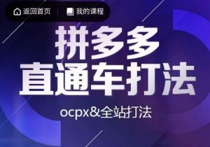 互力·拼多多直通车打法，ocpx&全站打法-铭创资源库