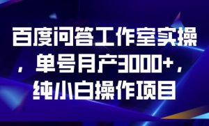 百度问答工作室实操,单号月产3000+,纯小白操作项目【揭秘】-铭创资源库