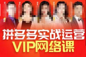 推易拼多多VIP全套直播课程，拼多多店铺实操玩法+实战玩法选款内功+直通车高阶等-铭创资源库