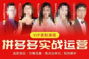 2023推易拼多多实战运营,选款测品、引爆流量、高点击转化、规则解析-铭创资源库