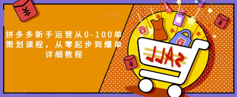 拼多多新手运营从0-100单策划课程，从零起步到爆单详细教程-铭创资源库