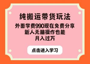 纯搬运带货玩法，外面学费990现在免费分享，新人无脑操作也能月入过万【揭秘】-铭创资源库