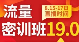 秋秋线上流量密训班19.0，打通流量关卡，线上也能实战流量破局-铭创资源库
