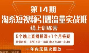 南掌柜·淘系短视频引爆流量实战班，​短视频是一个没有天花板的流量入口-铭创资源库