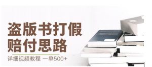 最新盗版书赔付打假项目，一单利润500+【详细玩法视频教程】【仅揭秘】-铭创资源库