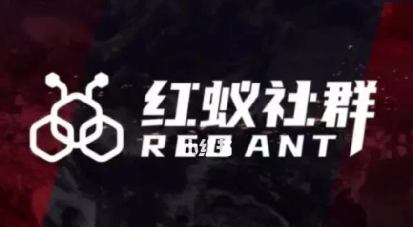 社群运营：红蚁社群【48节落地系统课程+2000人高端社群】-铭创资源库