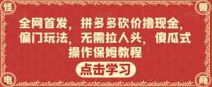 全网首发,拼多多砍价撸现金,偏门玩法,无需拉人头,傻瓜式操作保姆教程【揭秘】-铭创资源库