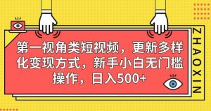 第一视角类短视频,更新多样化变现方式,新手小白无门槛操作,日入500+【揭秘】-铭创资源库