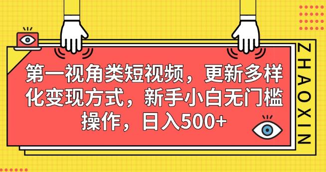 第一视角类短视频，更新多样化变现方式，新手小白无门槛操作，日入500+【揭秘】-铭创资源库