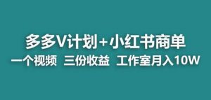 【蓝海项目】多多v计划+小红书商单一个视频三份收益工作室月入10w-铭创资源库